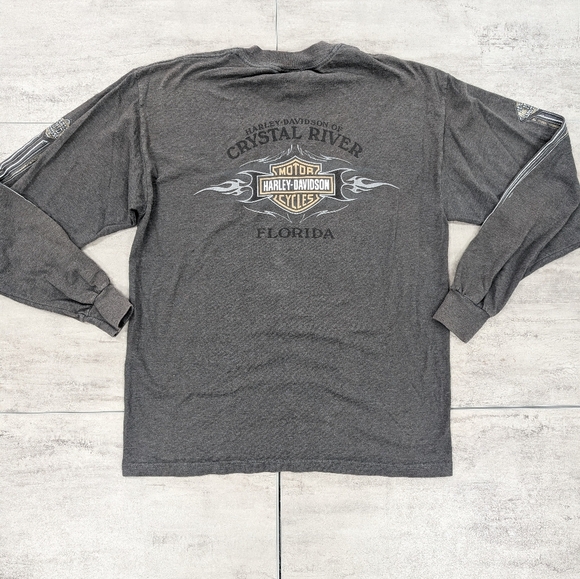 Vtg 2005 Harley Davidson Men's Grey Crystal River Florida Long Sleeve Tee Large - Picture 6 of 9